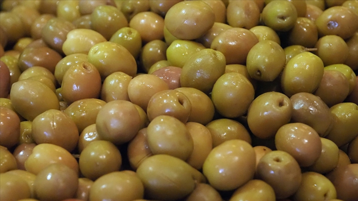 Sofralık zeytin ihracatında tarihi başarı: 255 milyon dolar