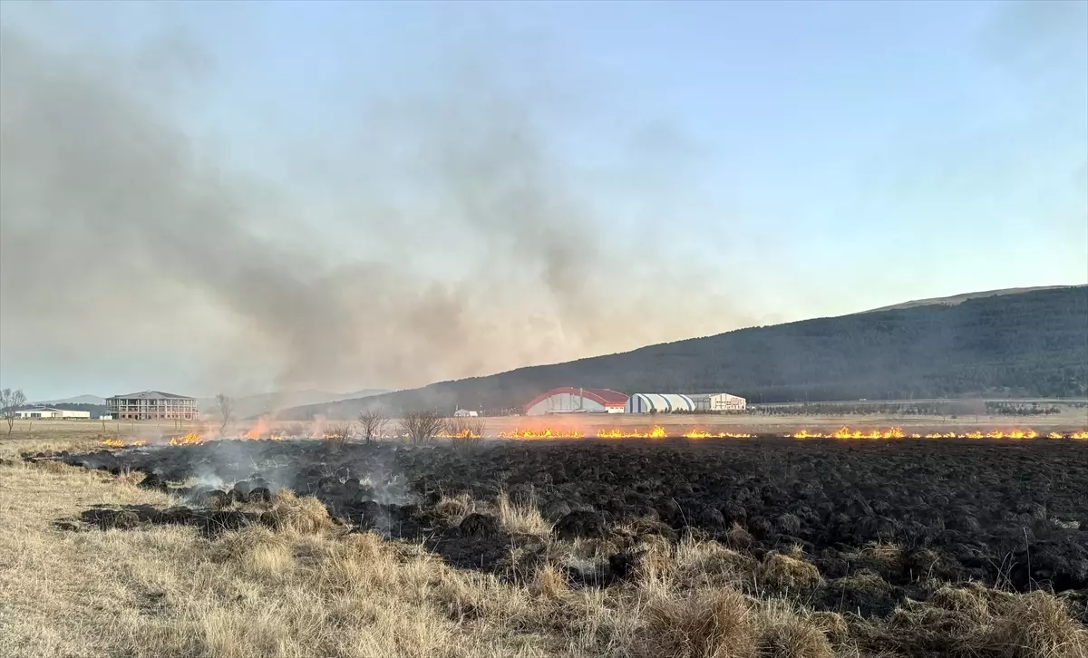 Ardahan’da Putka Gölü’nde Yangın