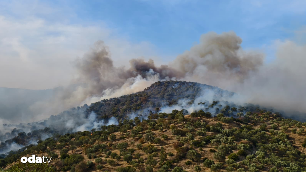 Aydın’da ziraat alanında çıkan yangına müdahale ediliyor