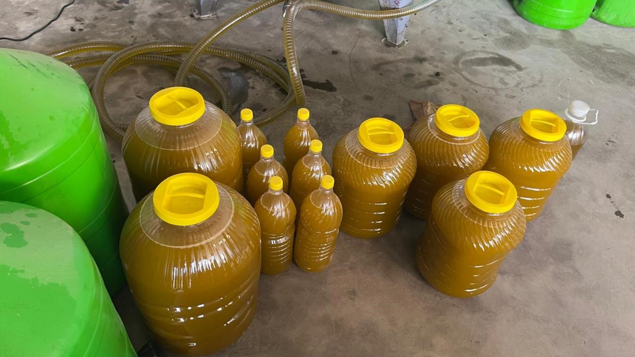 Kara meyveden altın sıvıya yolculuk: 6 kilodan 1 kilo çıkıyor