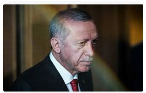 Aslı Aydıntaşbaş: Erdoğan’ın Bölgesel Liderlik Sınavı – Paraanaliz