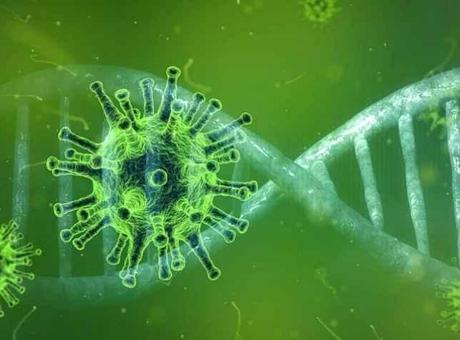 SON DAKİKA HABERLER: Yarasadan yayılan bir virüs daha: Tedavisi hala yok, ölüm oranı korkunç!