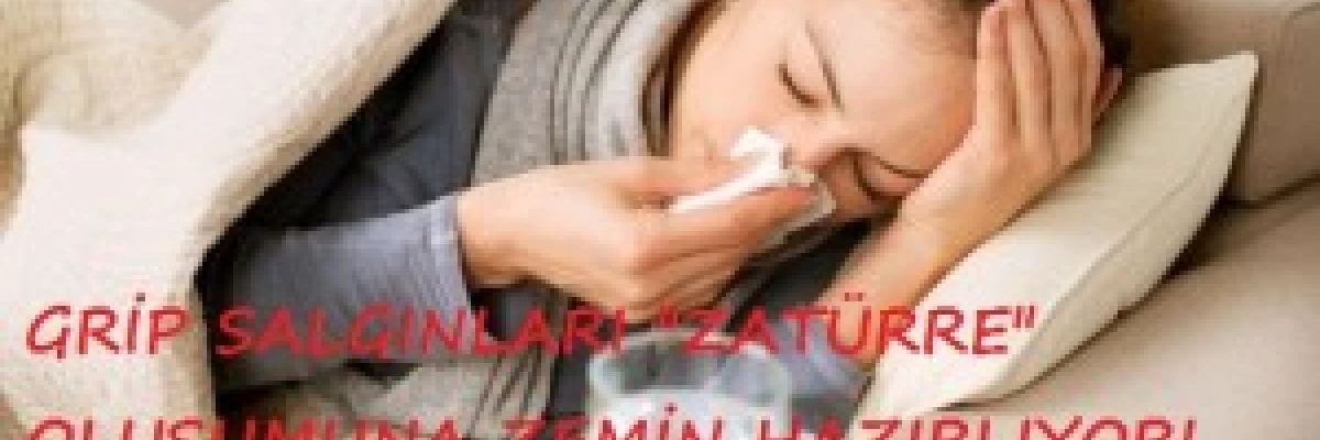 Grip Salgınları ve Zatürre Arasındaki Bağlantılar