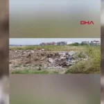 Karakoc deresi sulak alanina insaat atigi dokuldu inceleme baslatildi UwFzHJAU